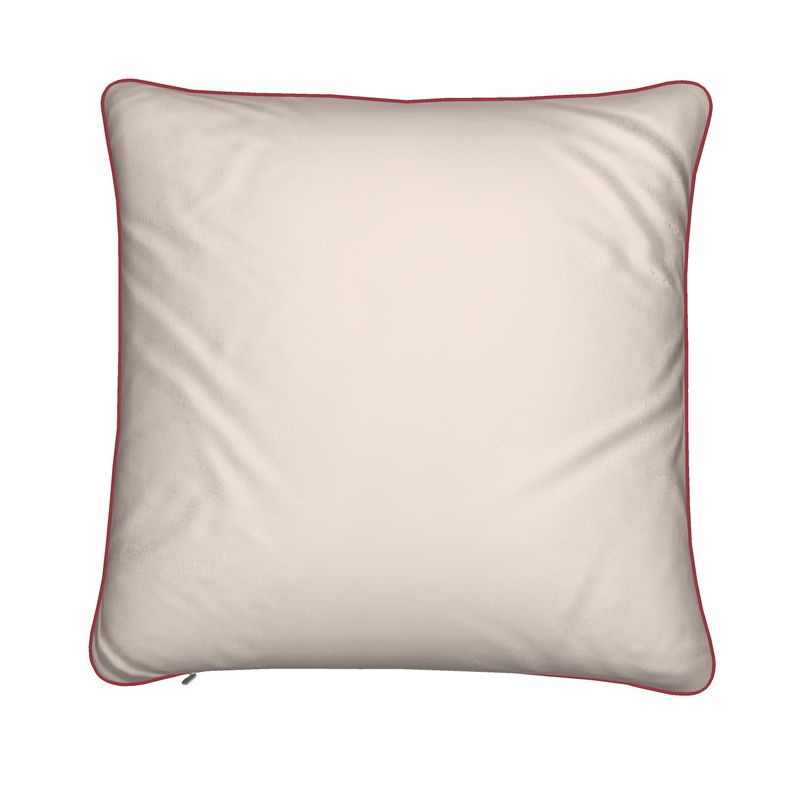 Designer Cushion - AIK/CO2